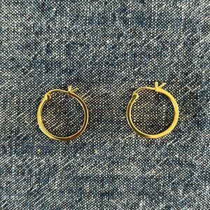 PAVOI 14k gold plated hoops
